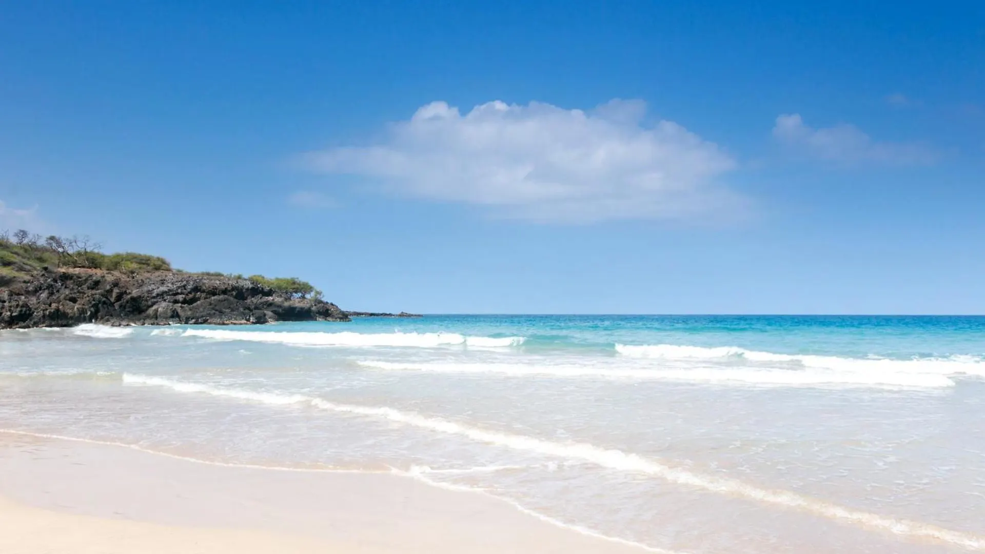 Casa vacanze ❤Pih❤ Hawaiian Elegance Short Walk To Best Beaches Heated Lap Pool Spa Waimea