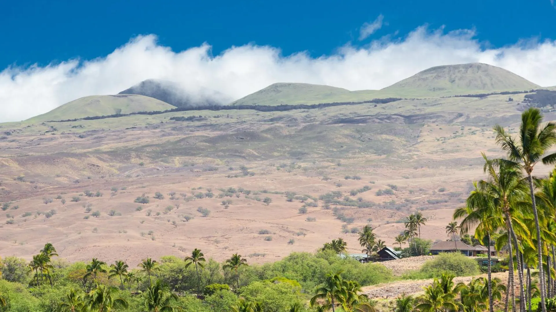 ❤Pih❤ Hawaiian Elegance Short Walk To Best Beaches Heated Lap Pool Spa Waimea  Waimea (Hawaii)